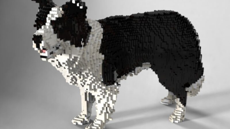 Border Collie Stencil